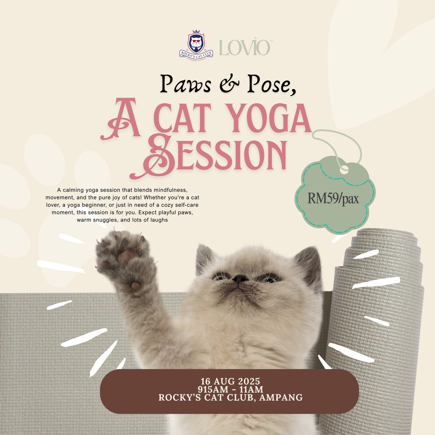 Paws & Pose: A Cat Yoga Morning