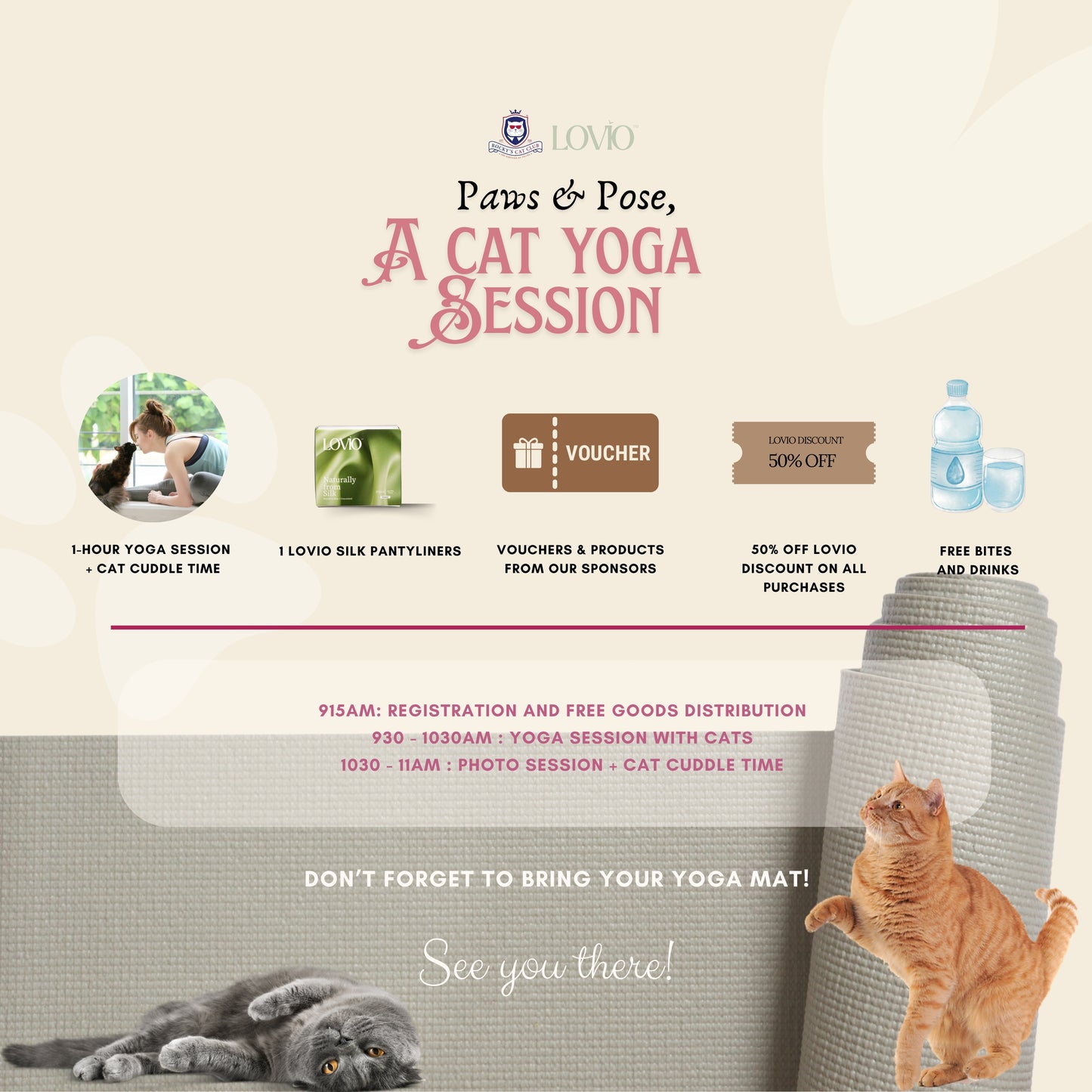 Paws & Pose: A Cat Yoga Morning